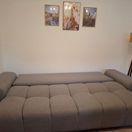 Free Garage In The Center-Delicia 4 Studio! 시비우 외부 사진