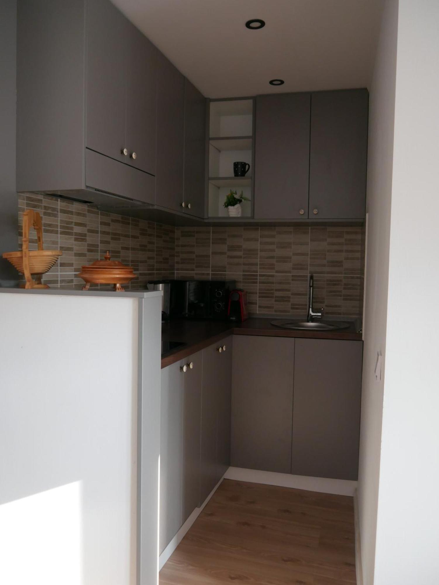 Free Garage In The Center-Delicia 4 Studio! 시비우 외부 사진